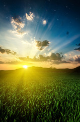 Fototapety na wymiar - Fototapeta24.pl