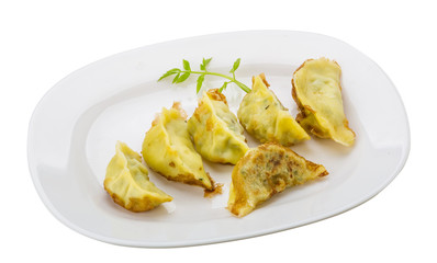 Japan dumplings - gyoza