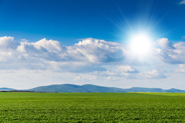 green field background