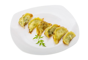 Japan dumplings - gyoza