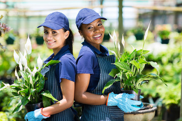 gardeners in greenhouse