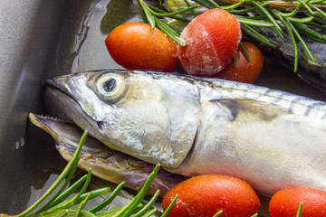 Mackerel baked with tomatoes