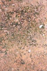 pattern slab of red stone.