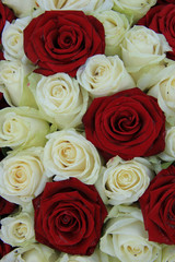 Red and white roses in a wedding arrangement