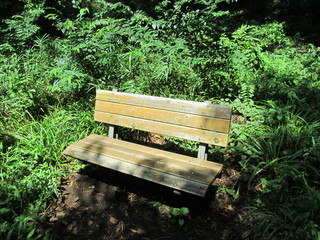 ベンチと草むら
