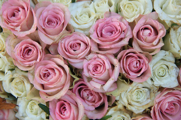 Pink and white roses in a bridal arrangement