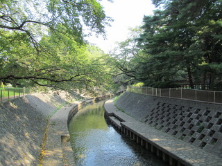 Fototapeta premium 東京の善福寺川