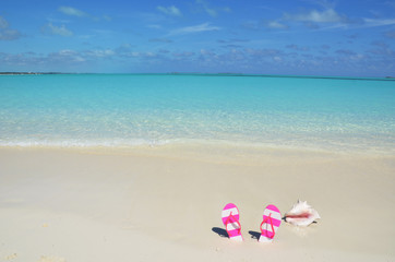 Sea shell and flip-flops on the sandy beach