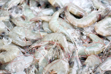 Fresh shrimps in seafood market.