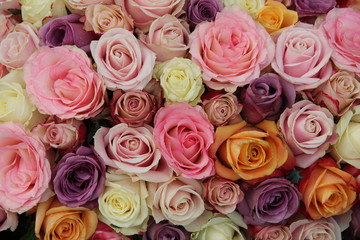 Pastel wedding roses