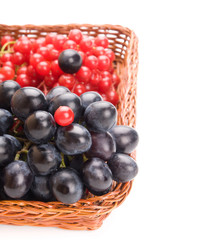 Fresh cranberries and grapes in basket isolated on white backgro