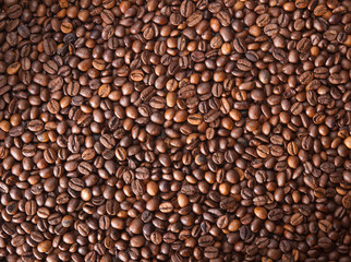 Numerous coffee beans which have been scattered all over the sur