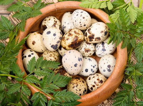 Guail eggs.