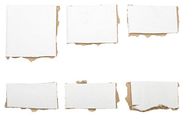 collection of ripped  white pieces of cardboard, no shadows, iso