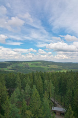 Lipno - tree top walk view