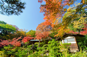 Traditional House in Japanese Garden