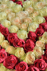 Pink roses in different shades in wedding arrangement