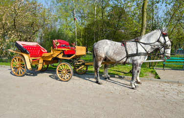 horse-drawn carriage with horses
