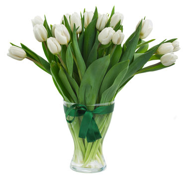 Bouquet Of White Tulips In Vase