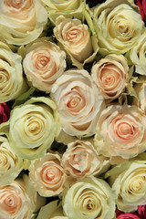 Fototapeta na wymiar Pink roses in different shades in wedding arrangement