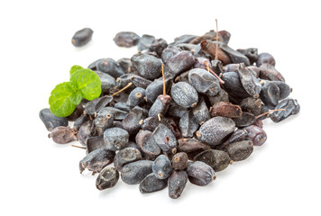 Dry Berberis