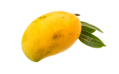 Yellow bright mango