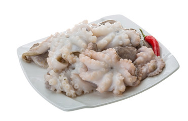 Raw octopus