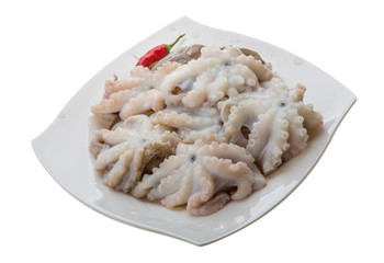 Raw octopus