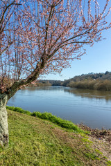 Rivière la Dordogne