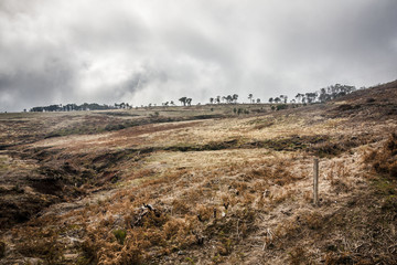 Beautiful landscape on the way to Pico do Arieiro in Madeira