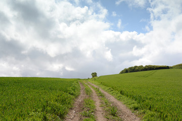 chemin de campagne