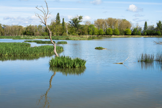 Salburua park, Vitoria (Spain)