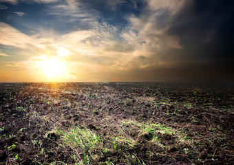 Sunrise over the cultivated field