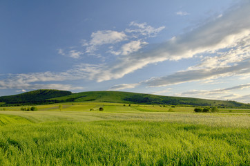 Green field  and bright blue sky