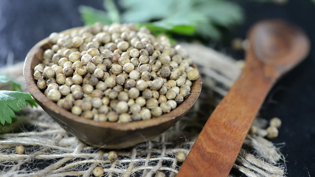 Coriander Seeds (loopable HD video)