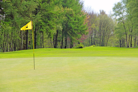Golf flag on course