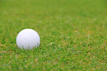 Golf ball on course