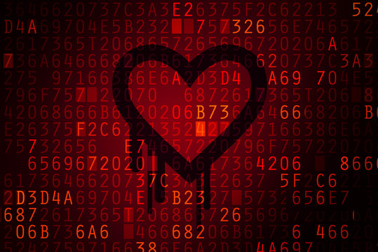 Heartbleed bug concept.