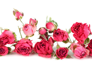 Beautiful pink dried roses, isolated on white
