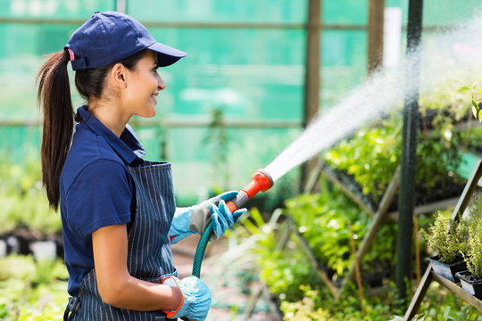 Female Nursery Worker Watering Plant