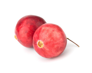 Cranberry isolated on white background closeup