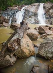 A jungle waterfall in Pahang, Malaysia