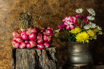 Still Life With Shallots, red onions