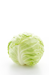 Fototapeta premium Cabbage isolated on white