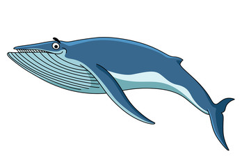 Obraz premium Big blue baleen whale