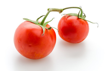 Tomato isolated on white
