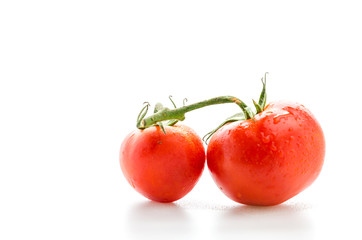 Tomato isolated on white