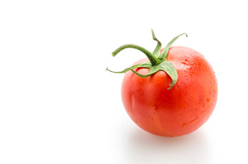 Tomato isolated on white