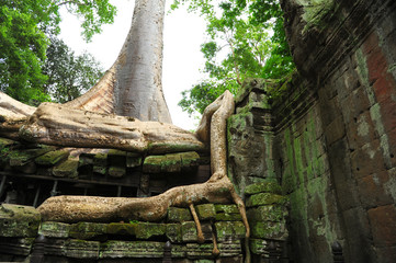 Ruin of Angkor Temple