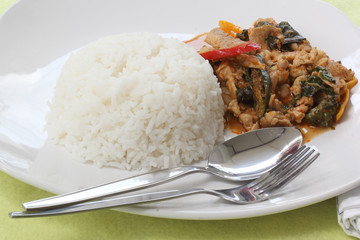 Chicken panang curry with rice